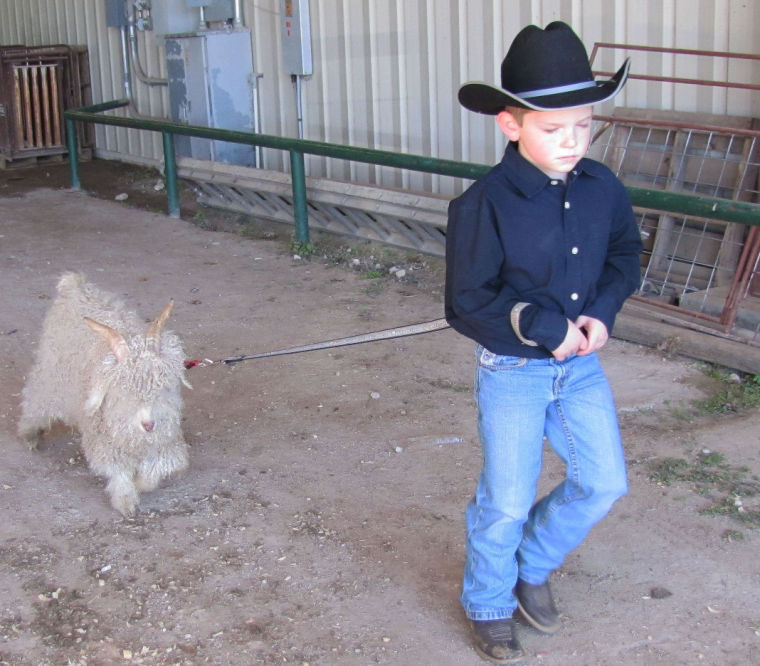 Coryell County Youth Fair